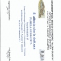 Ingrandire l'immagine: certificate 15