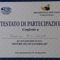 Ingrandire l'immagine: certificate 5