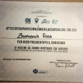 Ingrandire l'immagine: certificate 9