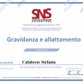 Ingrandire l'immagine: certificate 3