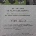 Ingrandire l'immagine: certificate 13