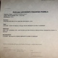 Ingrandire l'immagine: certificate 1