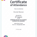 Ingrandire l'immagine: certificate 6