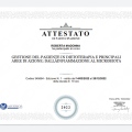 Ingrandire l'immagine: certificate 90