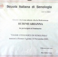 Ingrandire l'immagine: certificate 4