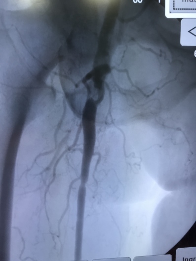 Mario De Laurentis-0