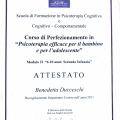 Ingrandire l'immagine: certificate 1