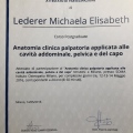 Ingrandire l'immagine: certificate 7