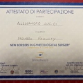 Ingrandire l'immagine: certificate 11