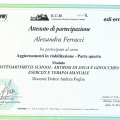 Ingrandire l'immagine: certificate 7