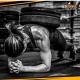 FIT ACTIVE Pantigliate