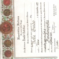 Ingrandire l'immagine: certificate 1