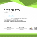 Ingrandire l'immagine: certificate 11