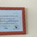 Ingrandire l'immagine: certificate 3