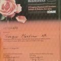Ingrandire l'immagine: certificate 8
