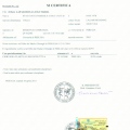 Ingrandire l'immagine: certificate 1