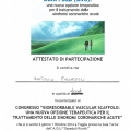 Ingrandire l'immagine: certificate 8