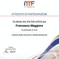 Ingrandire l'immagine: certificate 2