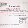 Ingrandire l'immagine: certificate 4