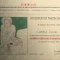 Ingrandire l'immagine: certificate 2