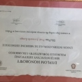 Ingrandire l'immagine: certificate 17