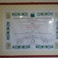 Ingrandire l'immagine: certificate 1
