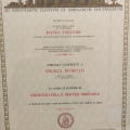 Ingrandire l'immagine: certificate 1