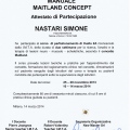 Ingrandire l'immagine: certificate 4
