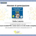 Ingrandire l'immagine: certificate 7