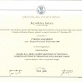 Ingrandire l'immagine: certificate 6