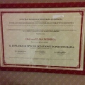 Ingrandire l'immagine: certificate 1