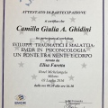 Ingrandire l'immagine: certificate 8