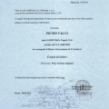 Ingrandire l'immagine: certificate 5