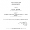 Ingrandire l'immagine: certificate 2