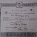 Ingrandire l'immagine: certificate 1