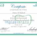 Ingrandire l'immagine: certificate 4