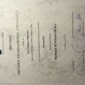 Ingrandire l'immagine: certificate 2