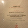 Ingrandire l'immagine: certificate 3