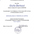 Ingrandire l'immagine: certificate 2