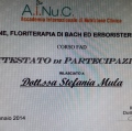 Ingrandire l'immagine: certificate 9