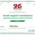 Ingrandire l'immagine: certificate 4