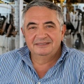 Domenico Gioia