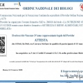 Ingrandire l'immagine: certificate 9