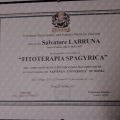 Ingrandire l'immagine: certificate 5