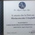 Ingrandire l'immagine: certificate 4