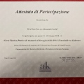 Ingrandire l'immagine: certificate 25