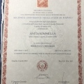 Ingrandire l'immagine: certificate 1