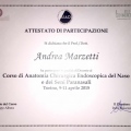 Ingrandire l'immagine: certificate 9