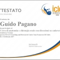 Ingrandire l'immagine: certificate 5
