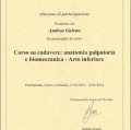 Ingrandire l'immagine: certificate 14